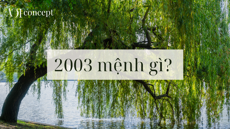Vật phẩm phong thủy phù hợp và không gian sống lý tưởng cho người tuổi Quý Mùi mệnh Dương Liễu Mộc